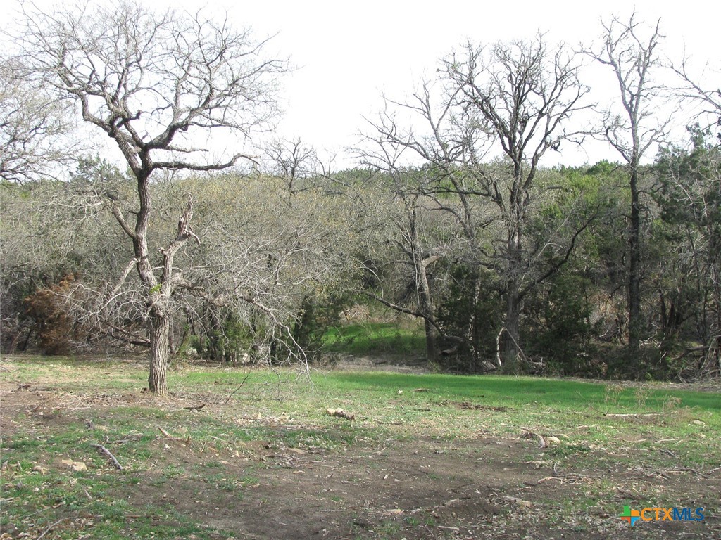 41.67 Acres Tbd Old Georgetown Road Property Photo 3