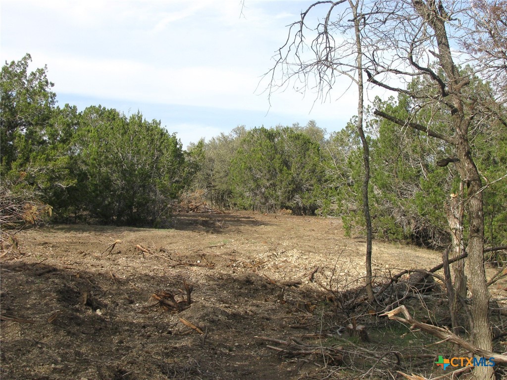 41.67 Acres Tbd Old Georgetown Road Property Photo 4