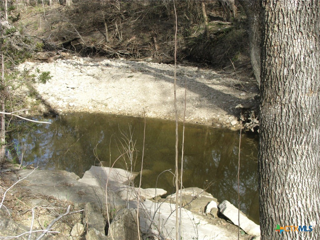 41.67 Acres Tbd Old Georgetown Road Property Photo 5