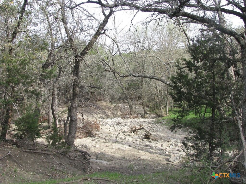 41.67 Acres Tbd Old Georgetown Road Property Photo 6