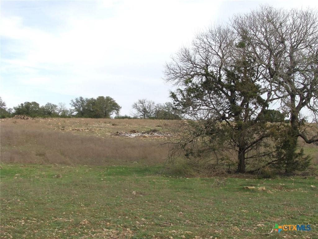41.67 Acres Tbd Old Georgetown Road Property Photo 8
