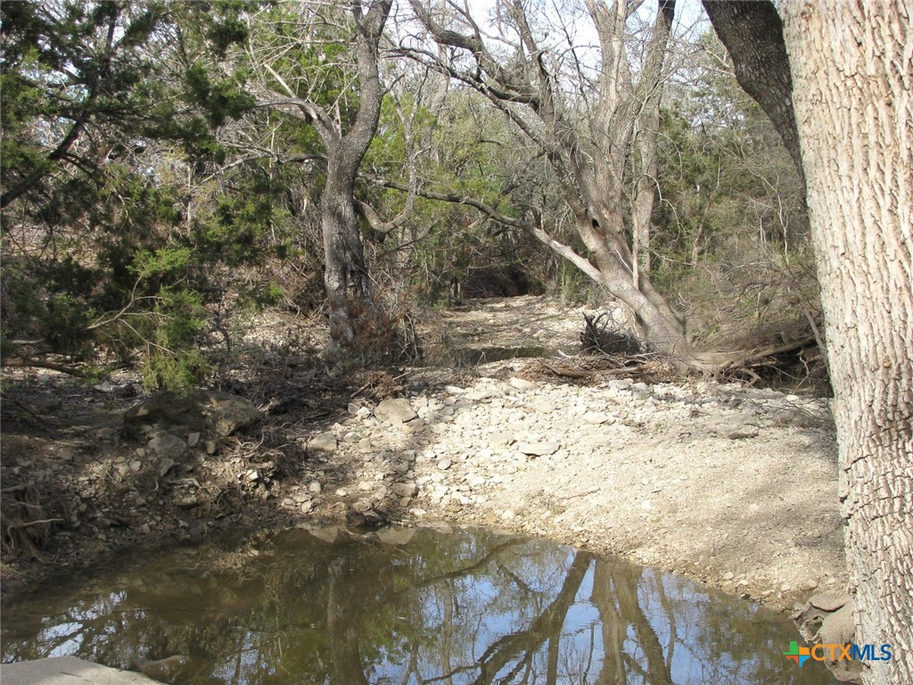 41.67 Acres Tbd Old Georgetown Road Property Photo 9