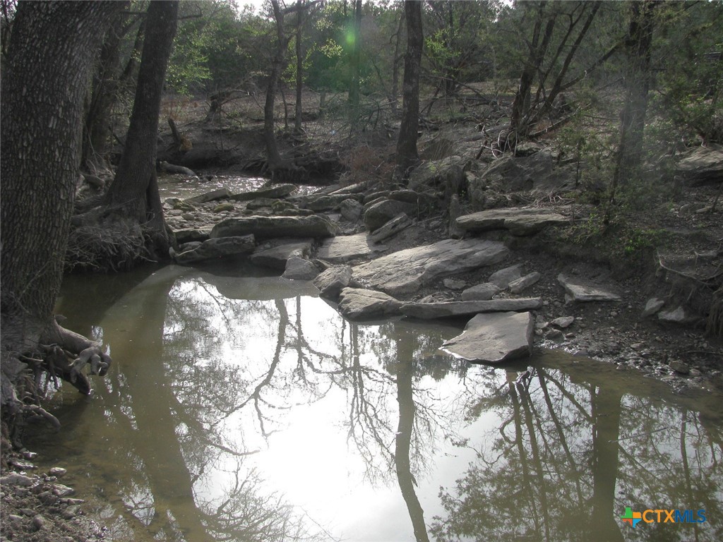 41.67 Acres Tbd Old Georgetown Road Property Photo 10