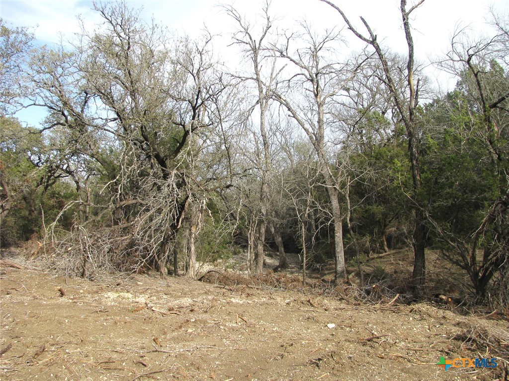 41.67 Acres Tbd Old Georgetown Road Property Photo 11