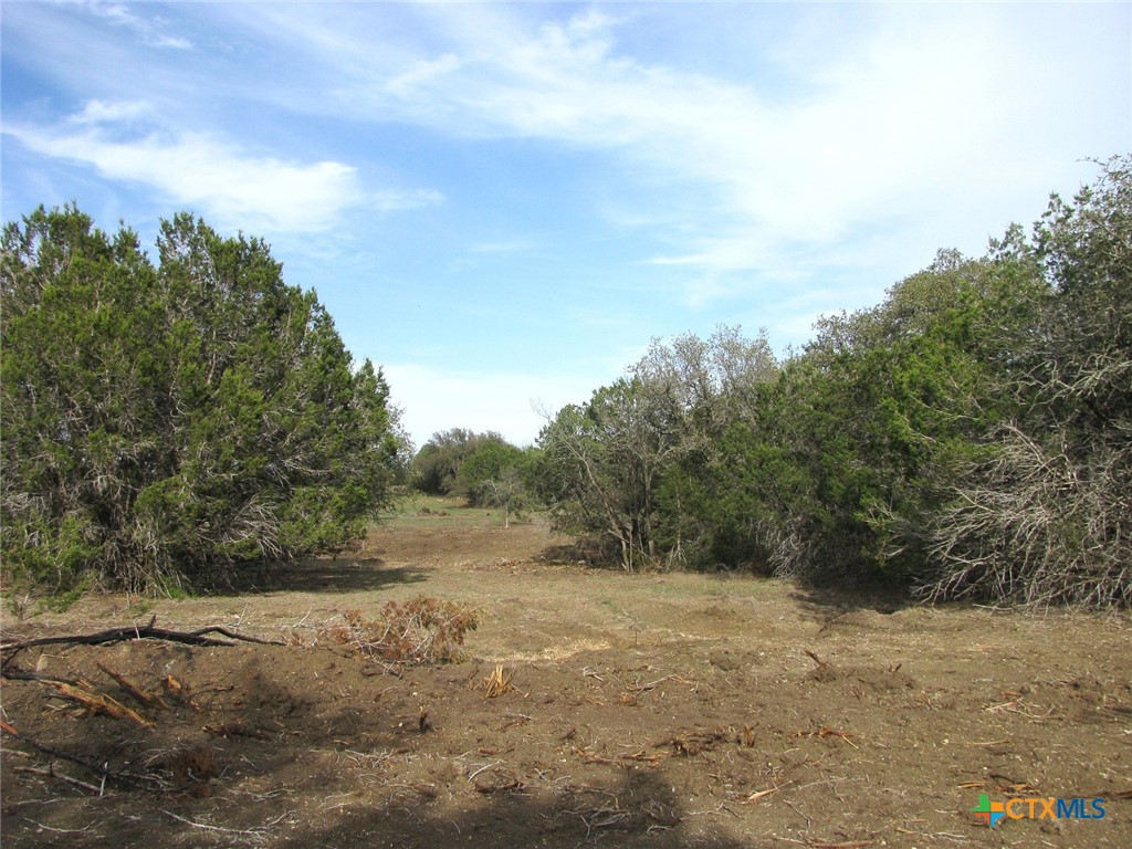 41.67 Acres Tbd Old Georgetown Road Property Photo 12