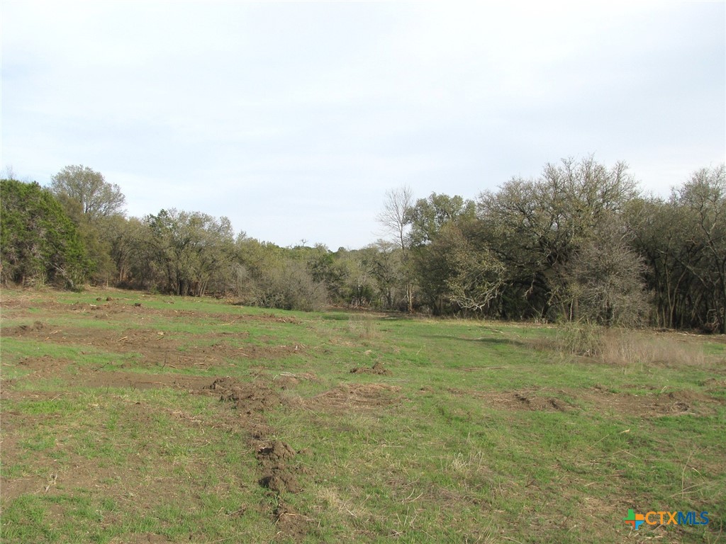 41.67 Acres Tbd Old Georgetown Road Property Photo 13