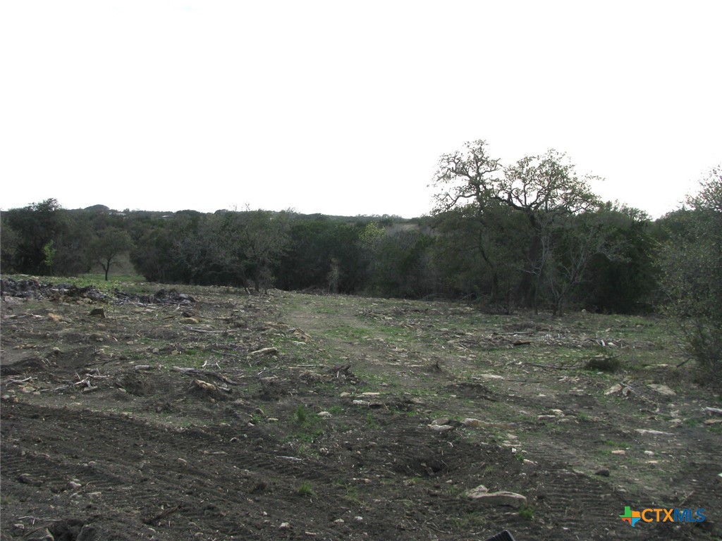 41.67 Acres Tbd Old Georgetown Road Property Photo 15
