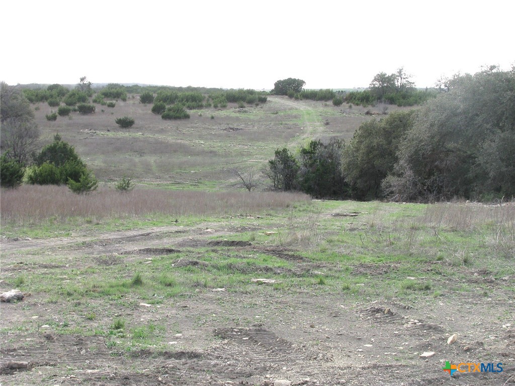 41.67 Acres Tbd Old Georgetown Road Property Photo 16