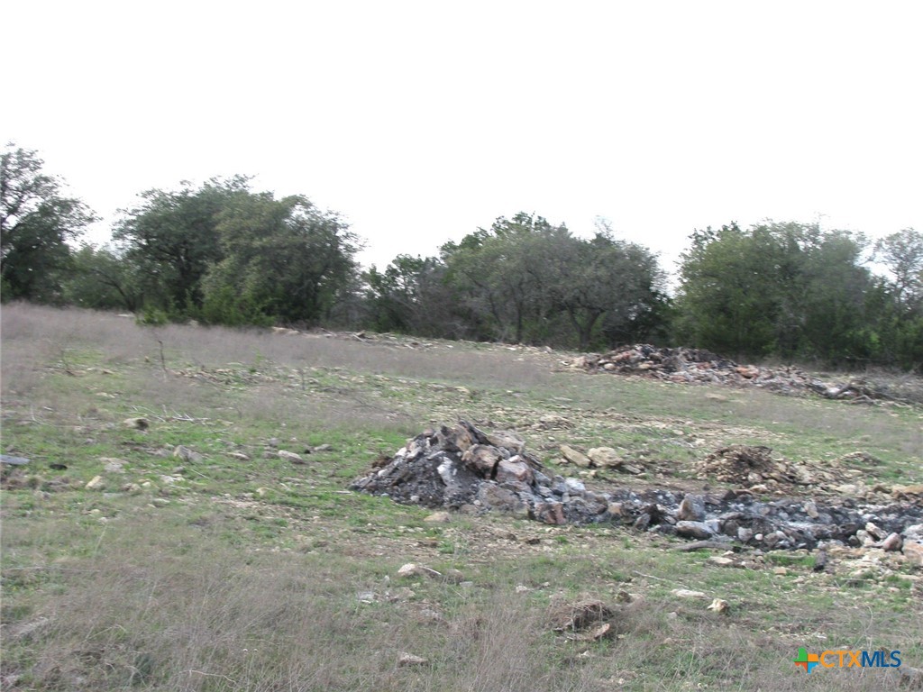 41.67 Acres Tbd Old Georgetown Road Property Photo 18