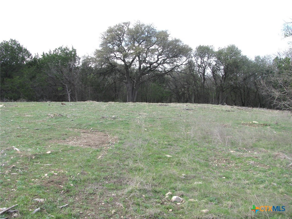 41.67 Acres Tbd Old Georgetown Road Property Photo 23
