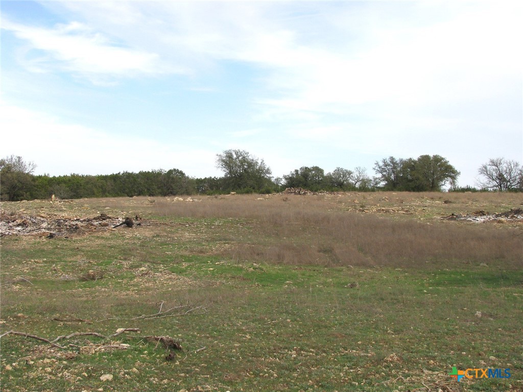 41.67 Acres Tbd Old Georgetown Road Property Photo 24