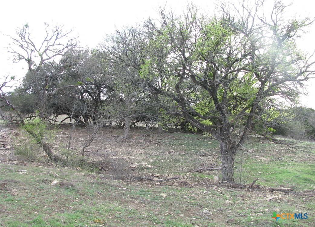41.67 Acres Tbd Old Georgetown Road Property Photo 25