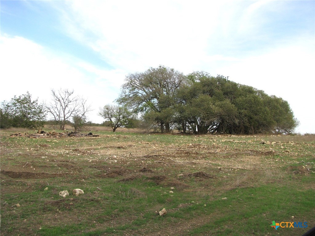 41.67 Acres Tbd Old Georgetown Road Property Photo 26