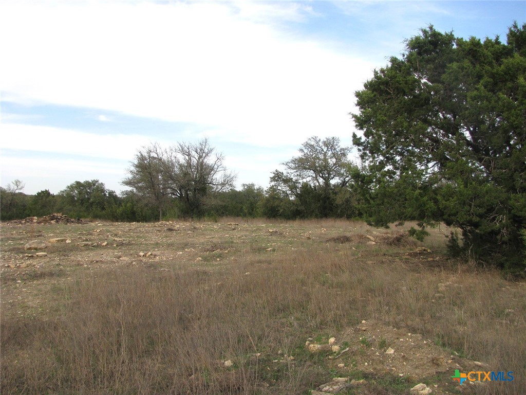 41.67 Acres Tbd Old Georgetown Road Property Photo 27