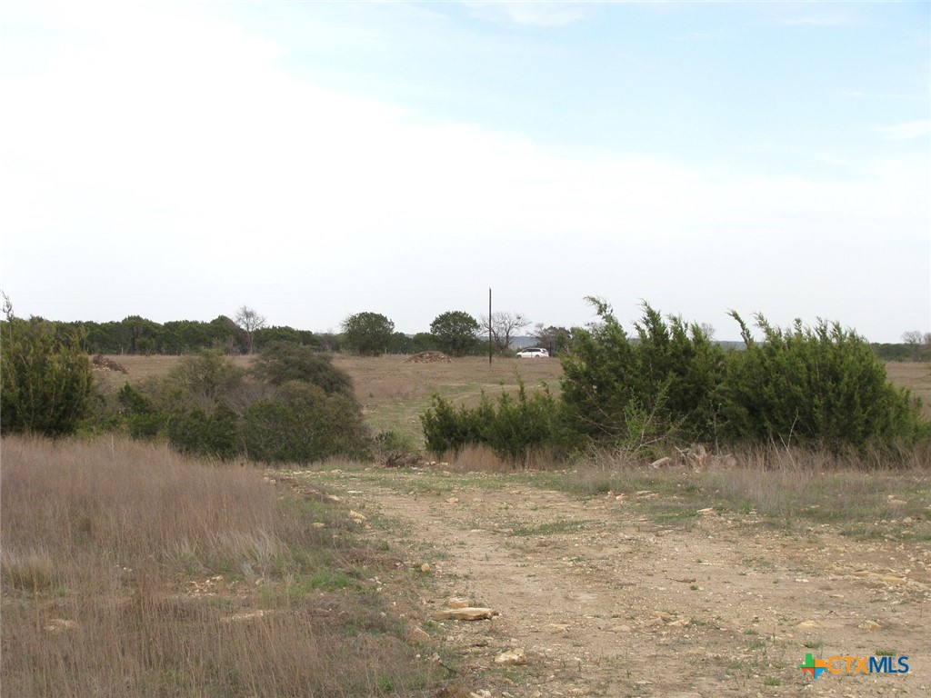 41.67 Acres Tbd Old Georgetown Road Property Photo 28