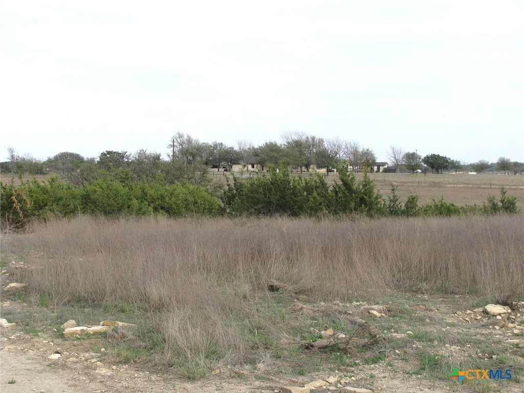 41.67 Acres Tbd Old Georgetown Road Property Photo 29