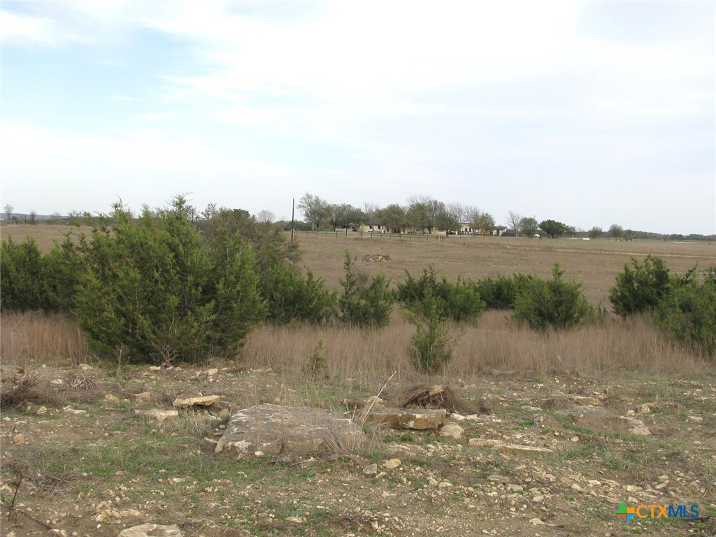 19.95 Acres Tbd Old Georgetown Road Property Photo