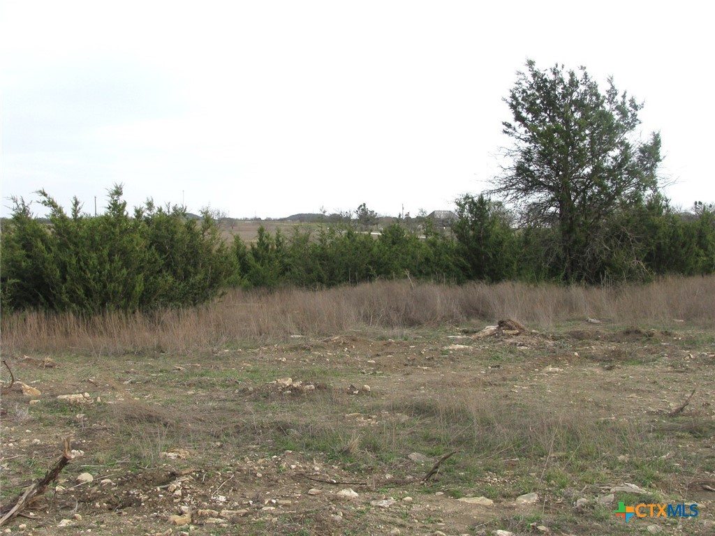 19.95 Acres Tbd Old Georgetown Road Property Photo 2