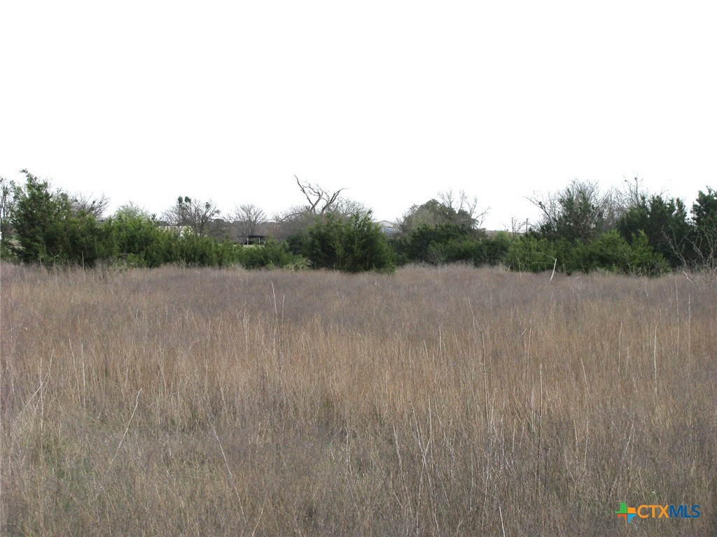 19.95 Acres Tbd Old Georgetown Road Property Photo 4