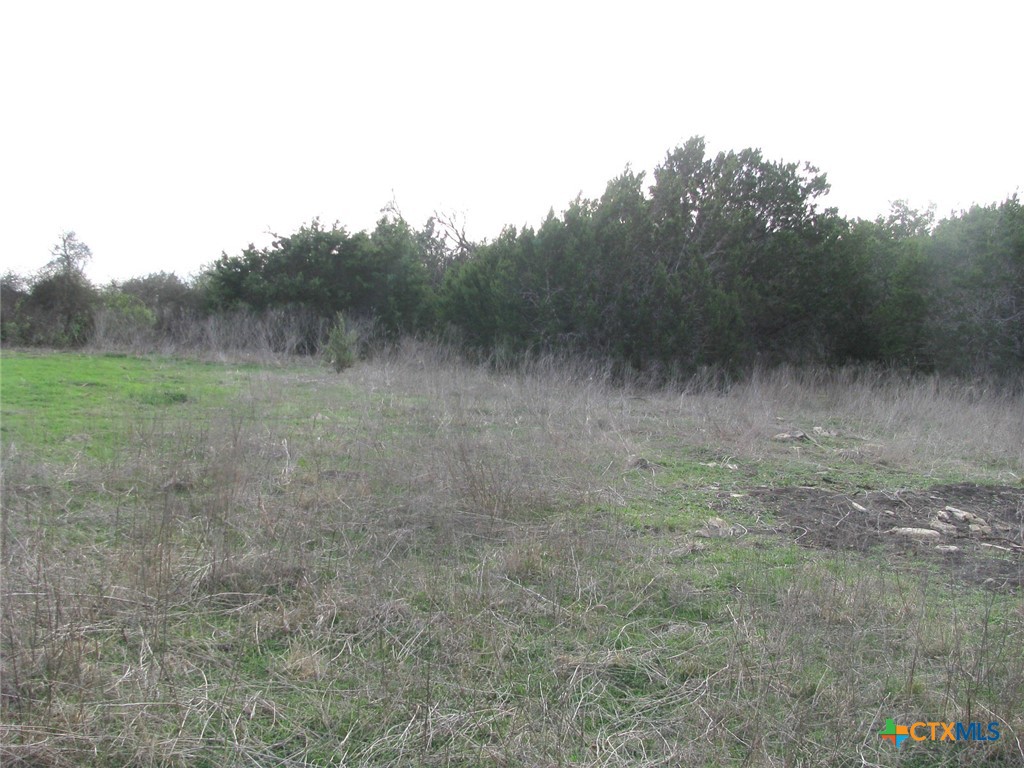 19.95 Acres Tbd Old Georgetown Road Property Photo 5