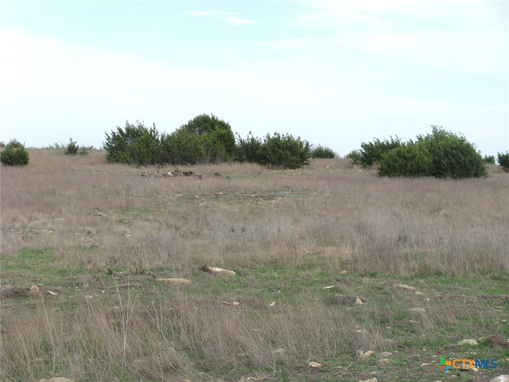 19.95 Acres Tbd Old Georgetown Road Property Photo 6