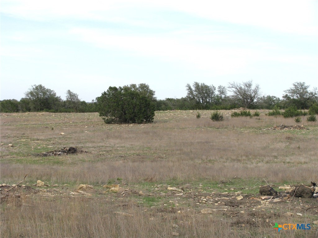 19.95 Acres Tbd Old Georgetown Road Property Photo 7