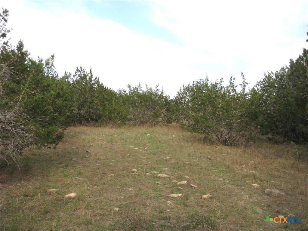 19.95 Acres Tbd Old Georgetown Road Property Photo 8