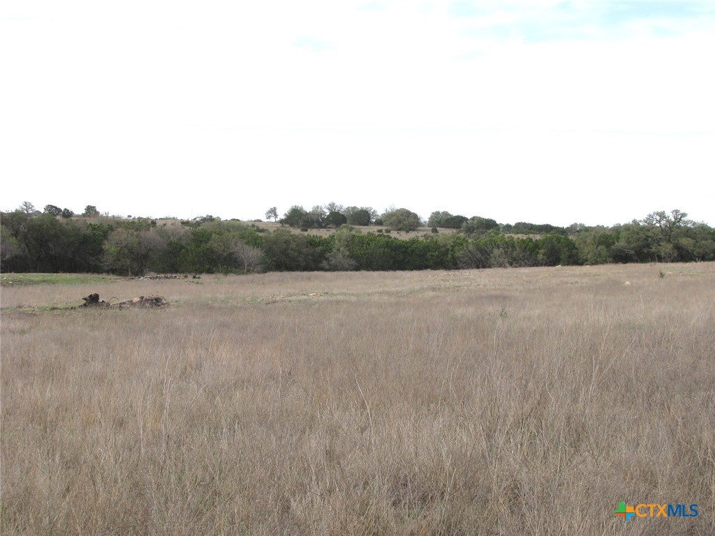 19.95 Acres Tbd Old Georgetown Road Property Photo 9