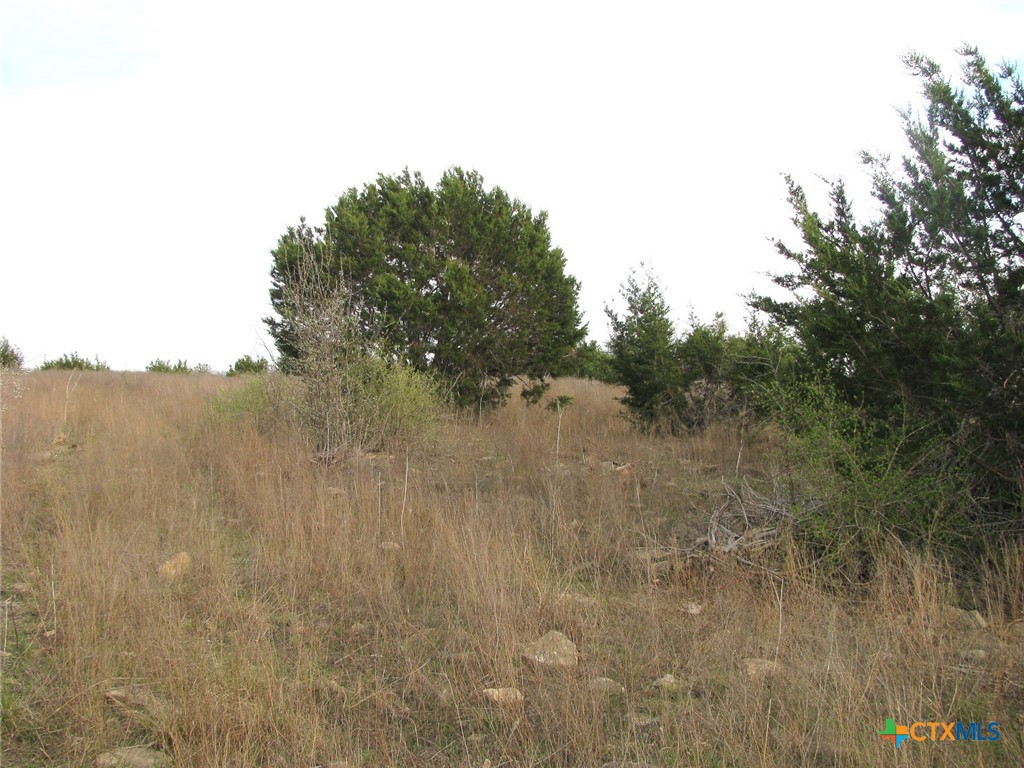 19.95 Acres Tbd Old Georgetown Road Property Photo 10