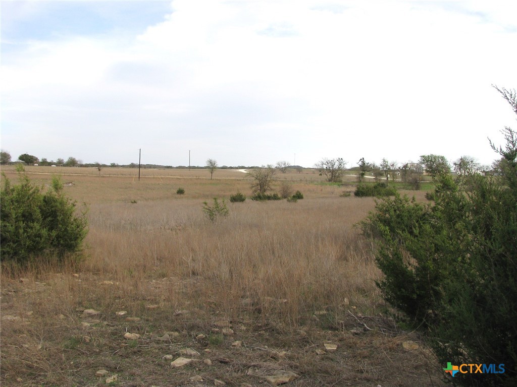 19.95 Acres Tbd Old Georgetown Road Property Photo 11
