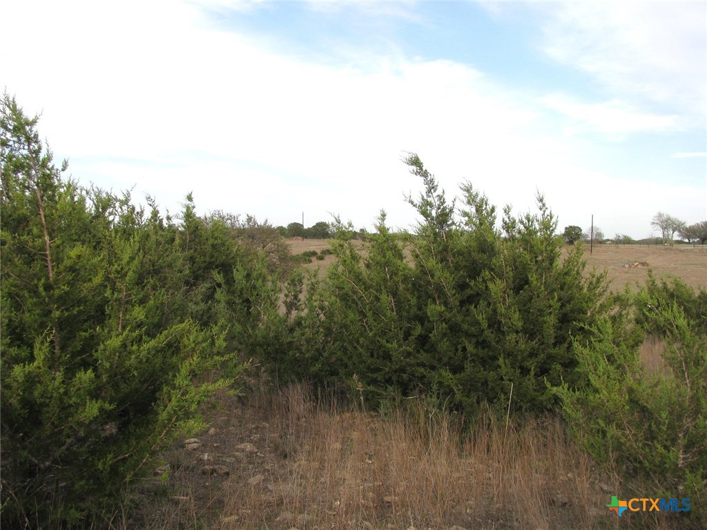 19.95 Acres Tbd Old Georgetown Road Property Photo 12