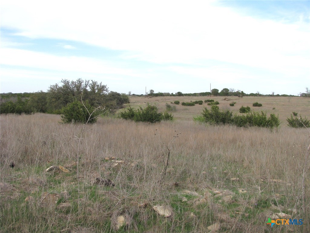 19.95 Acres Tbd Old Georgetown Road Property Photo 13