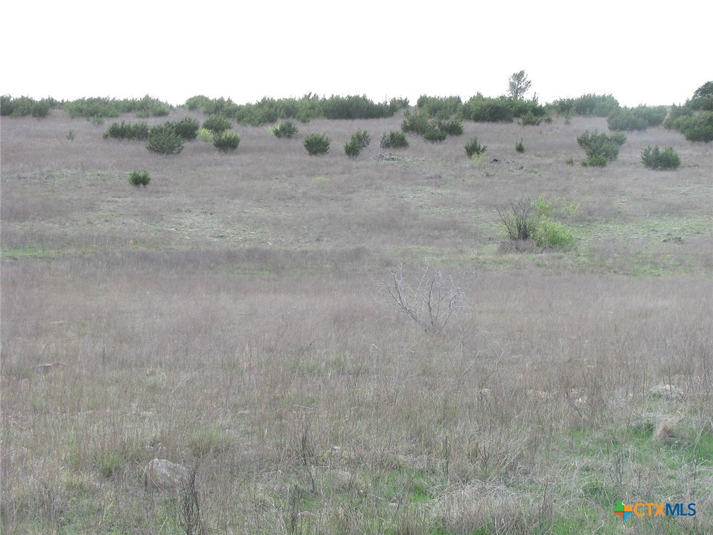 19.95 Acres Tbd Old Georgetown Road Property Photo 14