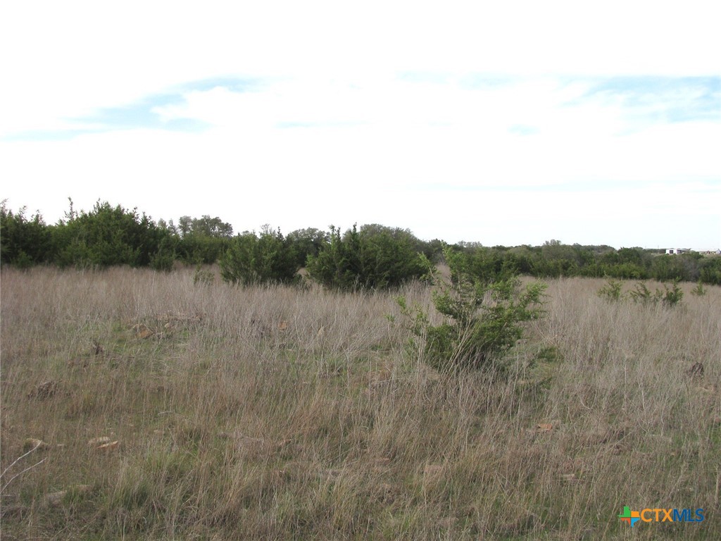 19.95 Acres Tbd Old Georgetown Road Property Photo 15
