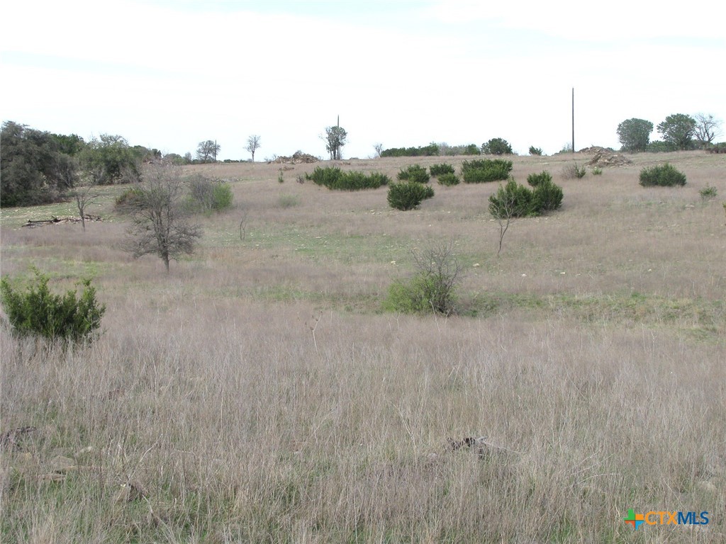 19.95 Acres Tbd Old Georgetown Road Property Photo 17
