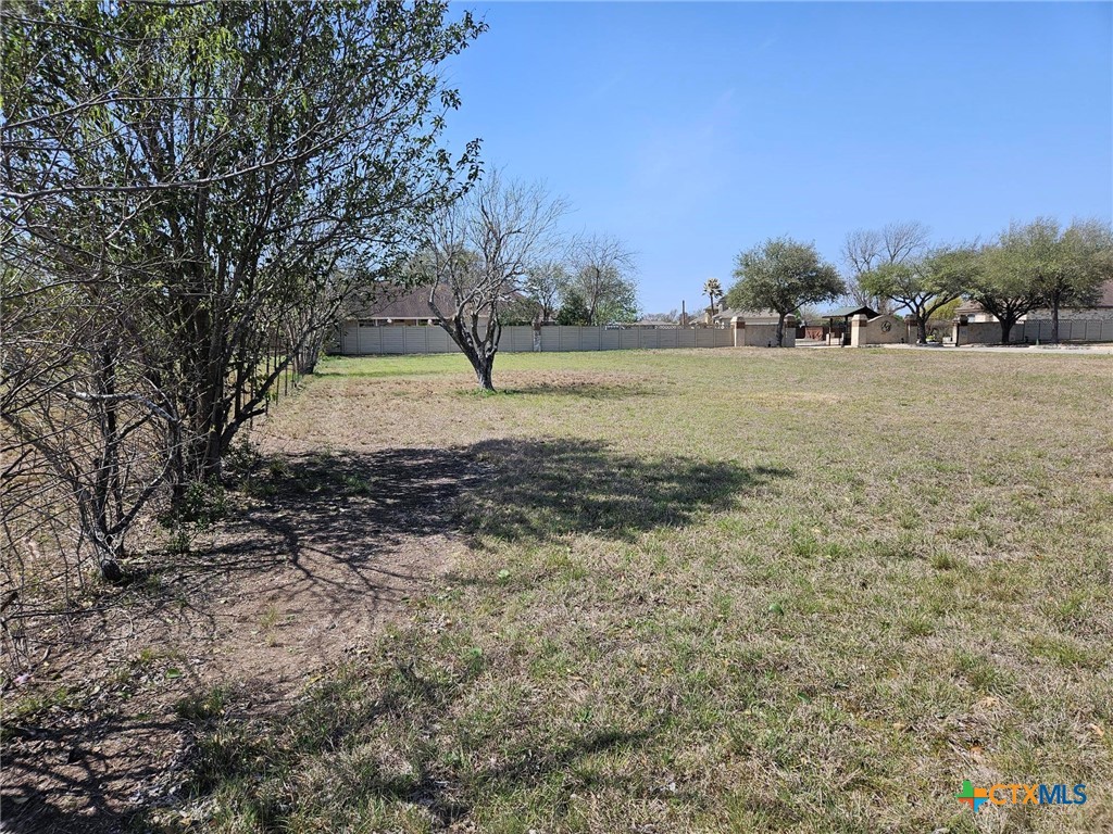 Tbd Hwy 46 Allens Bend Drive Property Photo 3