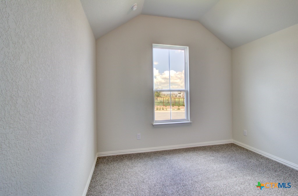 11910 Lofted Bloom Property Photo 6