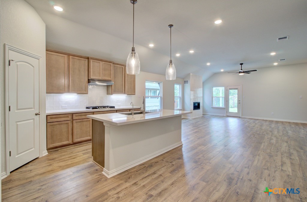 11910 Lofted Bloom Property Photo 9