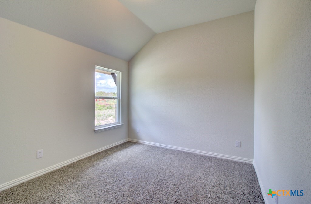 11910 Lofted Bloom Property Photo 19