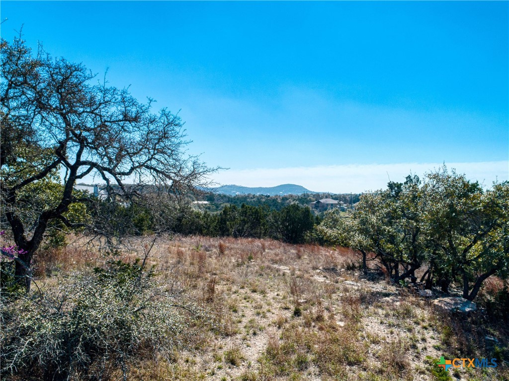 313 La Paloma Drive Property Photo 4