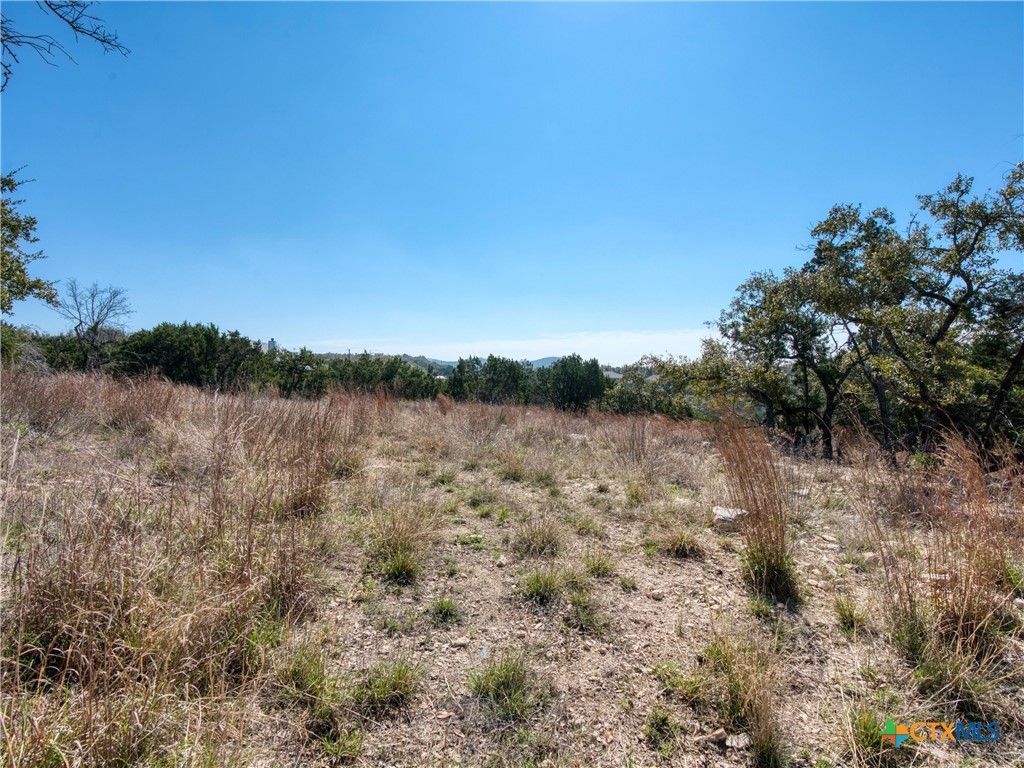 313 La Paloma Drive Property Photo 13