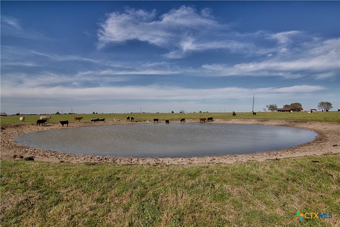 11552 Fm 1383 Property Photo 3