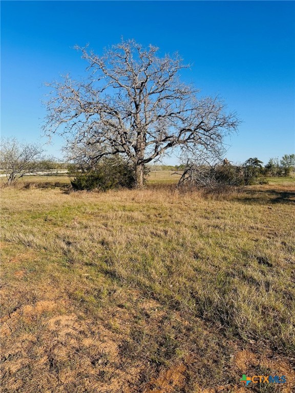 716 Main Loop Road Property Photo 4