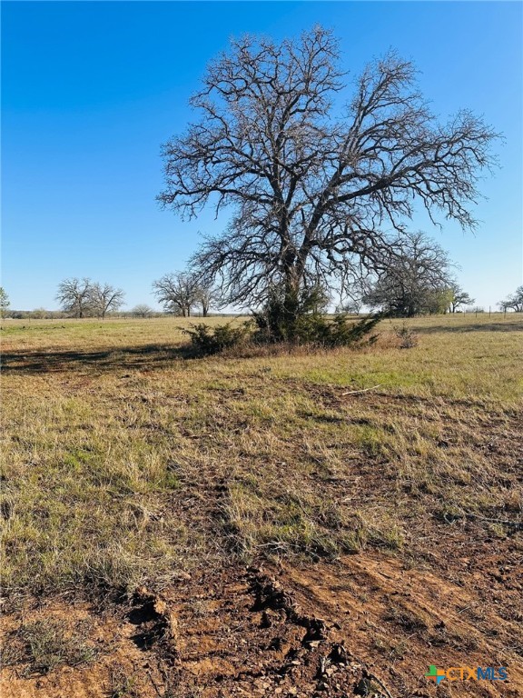 716 Main Loop Road Property Photo 5