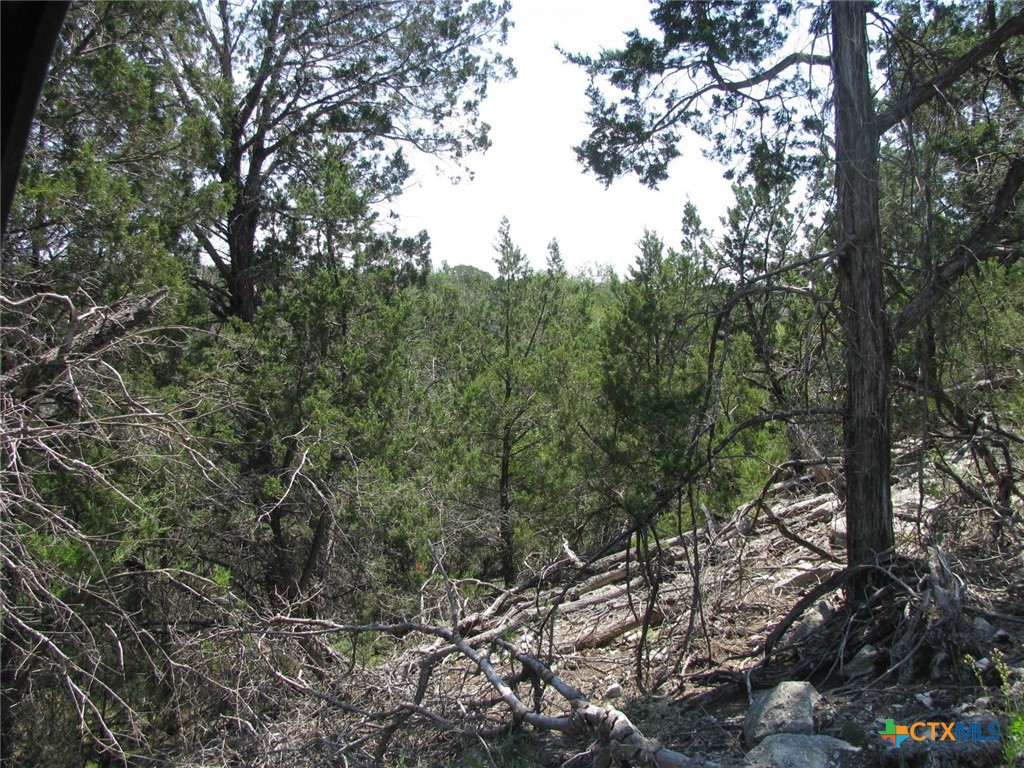 Lot 11 Ph 5 Private Road Property Photo 2