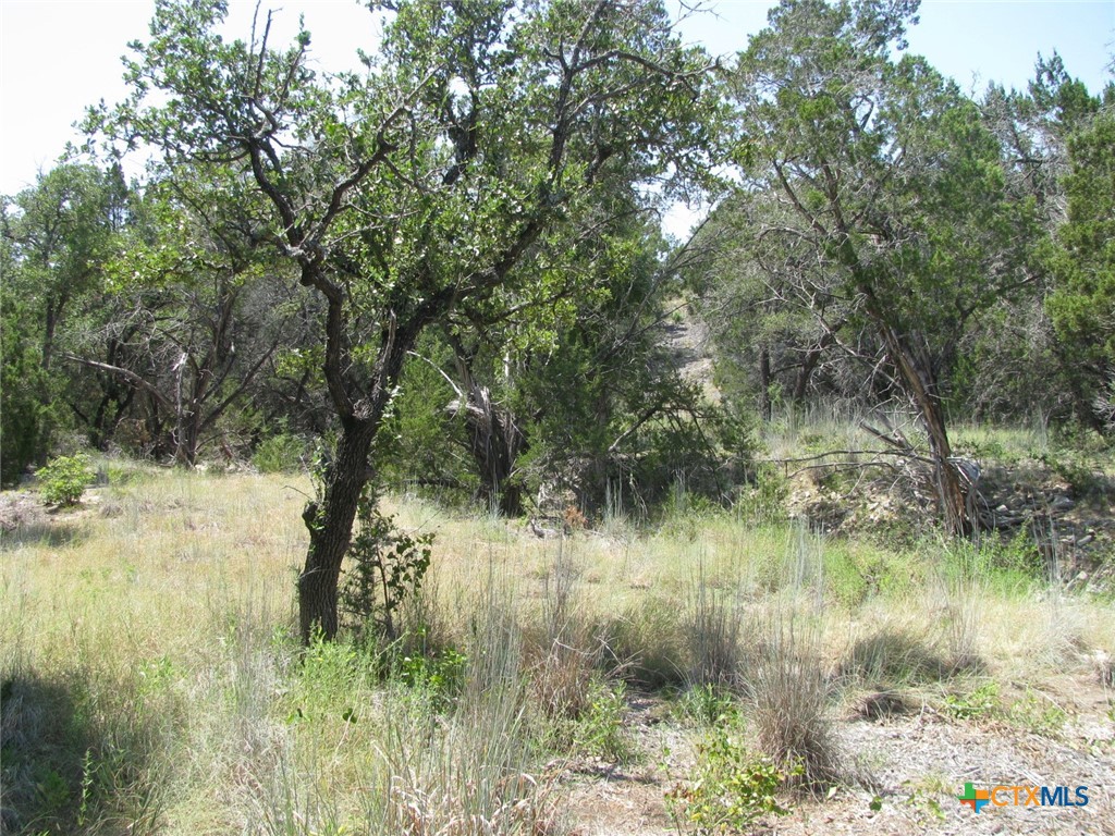 Lot 11 Ph 5 Private Road Property Photo 4