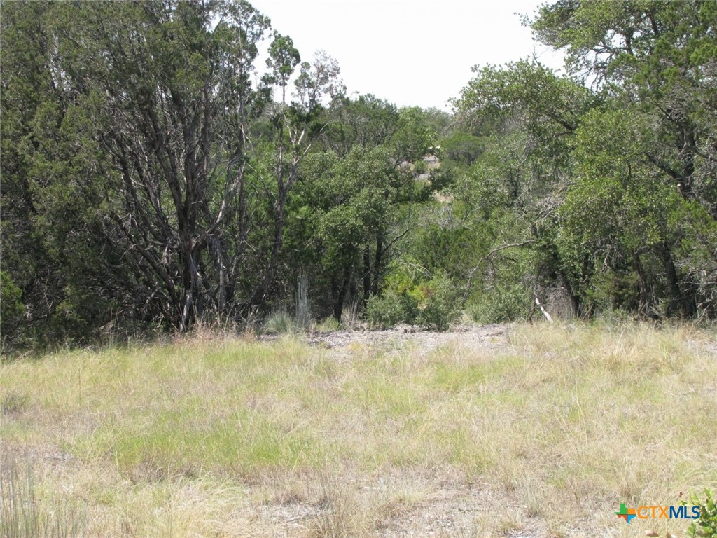 Lot 11 Ph 5 Private Road Property Photo 6