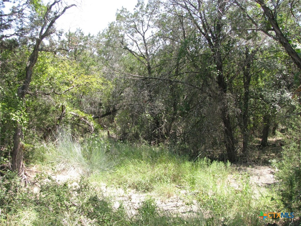 Lot 11 Ph 5 Private Road Property Photo 10