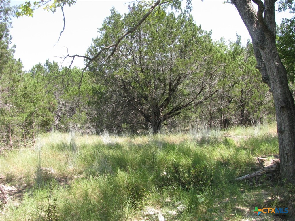 Lot 11 Ph 5 Private Road Property Photo 11