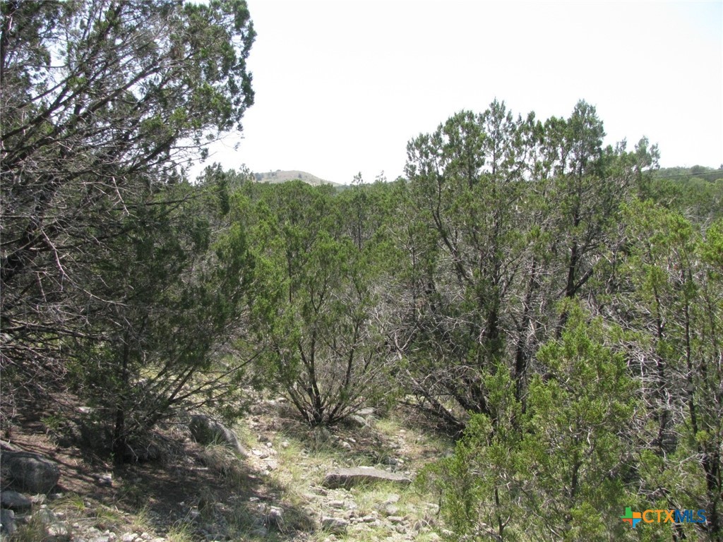 Lot 11 Ph 5 Private Road Property Photo 11